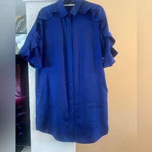 Joie Blue Ruffle Sleeve Women's Top